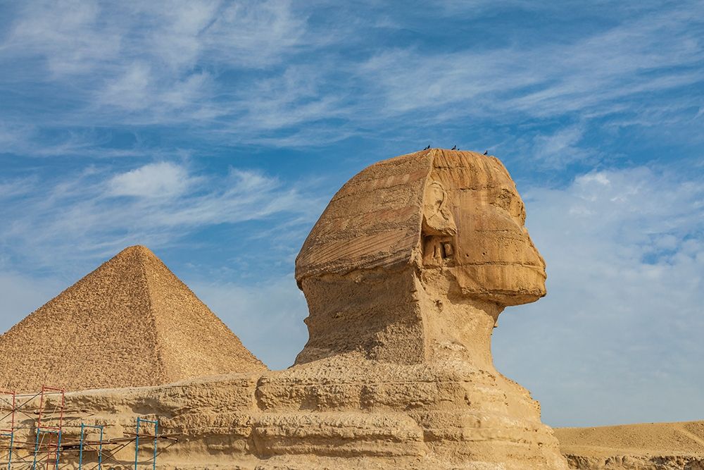 Africa-Egypt-Cairo Giza plateau Great Sphinx of Giza in front of the Great Pyramid of Giza